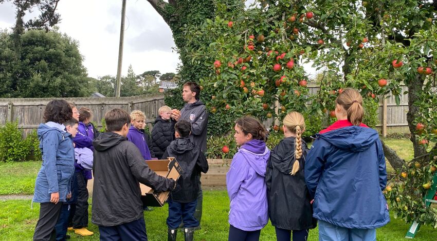 Seasonal Learning in Action: Kingsley’s Apple Week