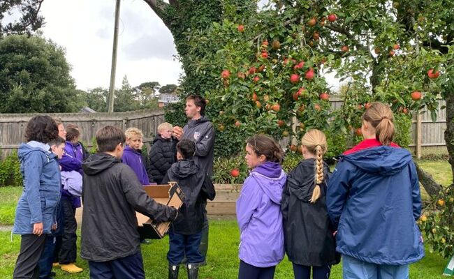 Seasonal Learning in Action: Kingsley&rsquo;s Apple Week