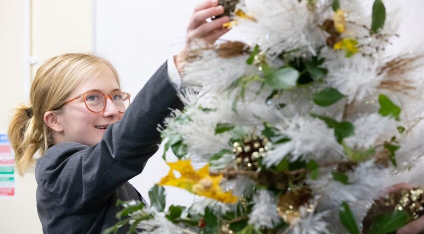 Kingsley School tackles the Christmas Tree Conundrum